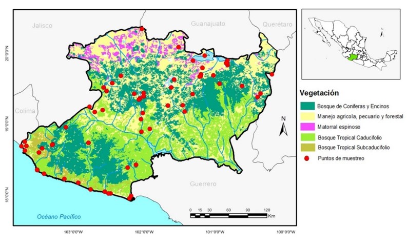 Tipos de vegetaci�n de Michoac�n de Ocampo, M�xico. 