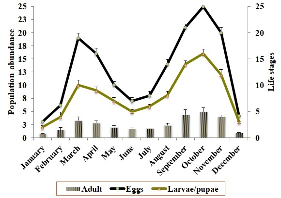 Mean seasonal abundance of the different life stages of secondary dengue vector mosquito Aedes albopictus (Diptera: Culicidae) during the years (2019-2020).