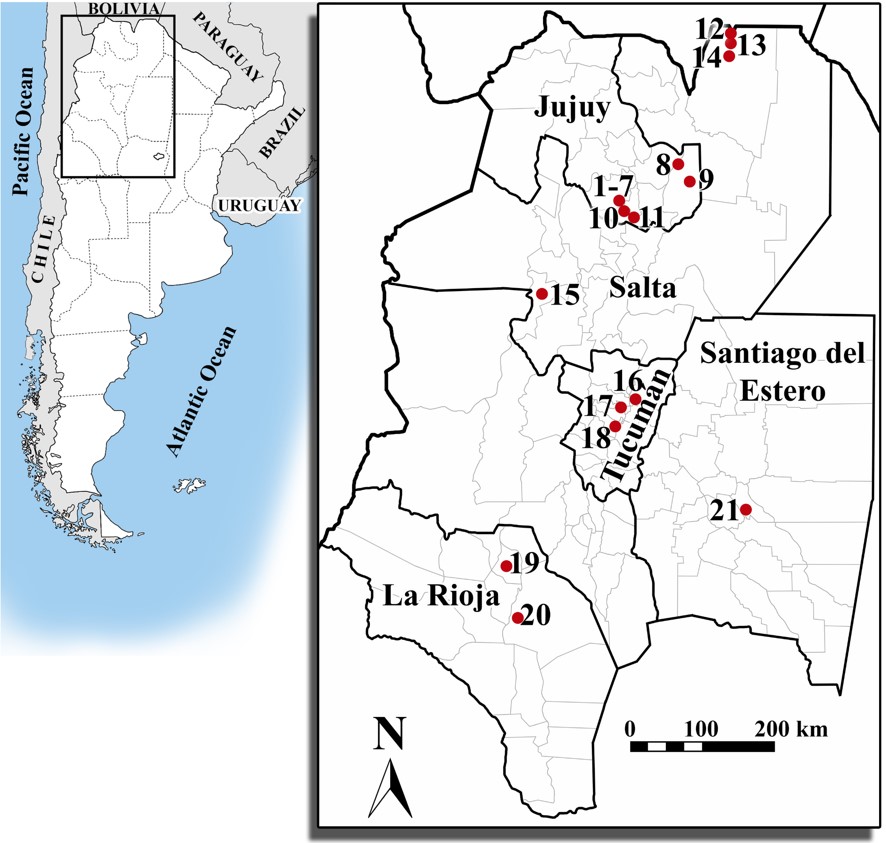 Sampling sites in northwestern provinces of Argentina. Jujuy province. 1-7: San Salvador de Jujuy; 8: Caimancito. 9: Palma Sola; 10: Los valos; 11: Perico. Salta Province: 12: Carapar; 13: Aguaray; 14: Tartagal; 15: Laguna de Brealito. Tucumn province: 16: El Timb; 17: Horco Molle; 18: El Guayal. La Rioja province. 19: Anillaco; 20: La Rioja. Santiago del Estero province: 21: Chua Palma.