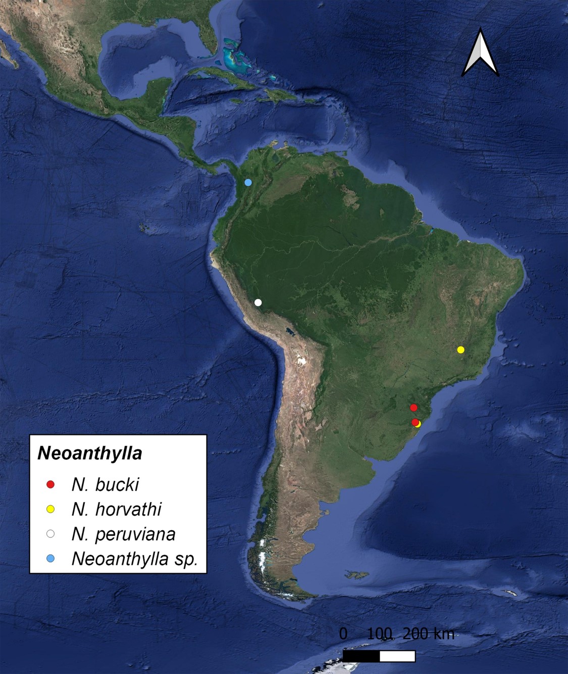 Distribution map of the species of Neoanthylla.