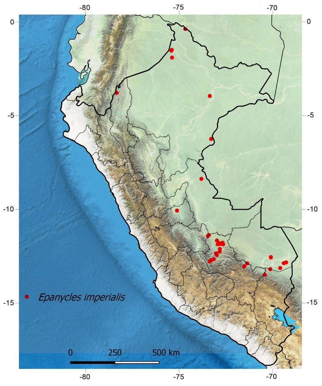 Geographical distribution of Epanycles imperialis in Peru.
