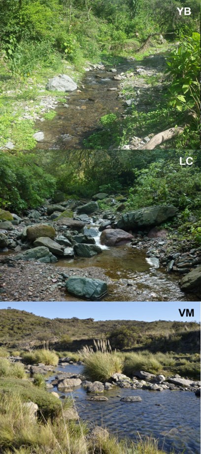 Three studied streams. Yerbabuenita stream (YB), Las Conchas stream (LC) and Vaca Muerta stream (VM).