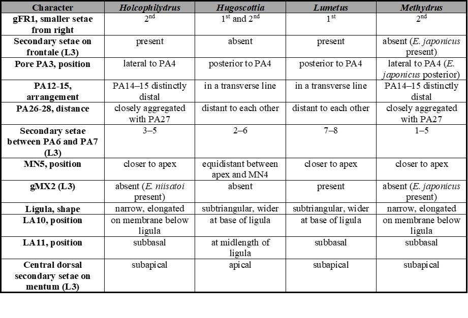 Chaetotaxic and morphometric characters useful to distinguish among larvae of known subgenera of Enochrus.