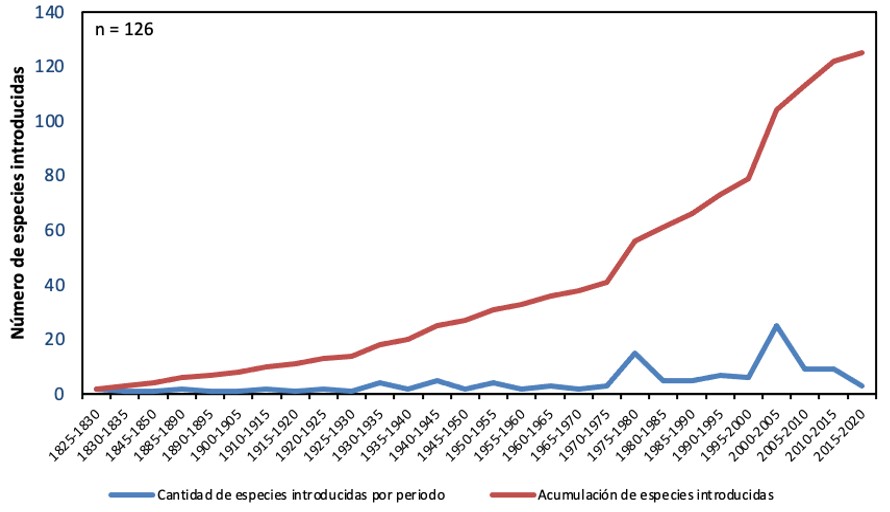 N�mero de especies de parasitoides introducidas a Chile desde el siglo pasado a la fecha (l�nea azul), considerando intervalos de cinco a�os y la acumulaci�n de n�mero de especies a trav�s del tiempo (l�nea roja).