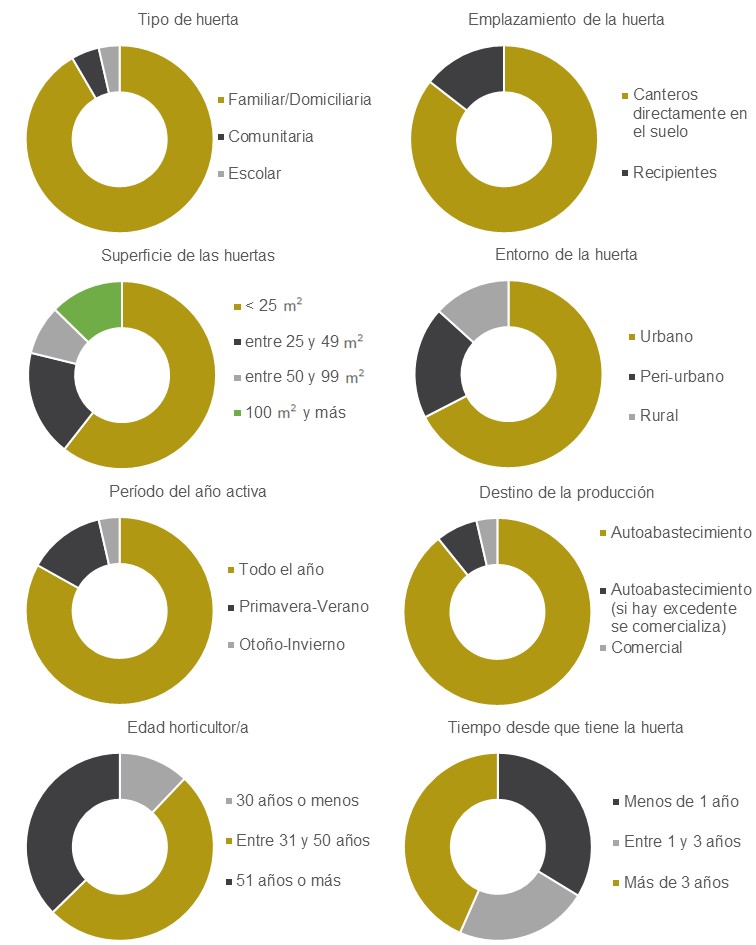 Resumen de las respuestas al formulario (n= 83) para caracterizar las huertas del partido de San Antonio de Areco (Argentina). El gráfico de superficie de las huertas corresponde a aquellas realizadas en canteros directamente en el suelo (n= 71).