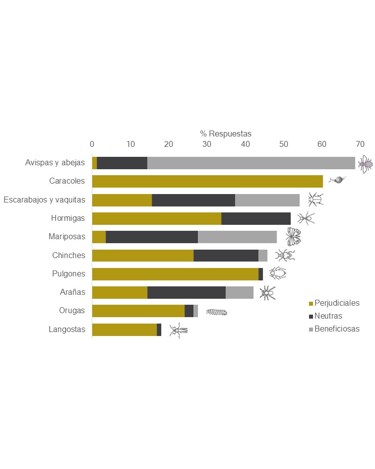 Grupos de invertebrados reconocidos comúnmente en las huertas del partido de San Antonio de Areco (Argentina) y percepción de las/los horticultoras/es sobre su rol funcional en la huerta.
