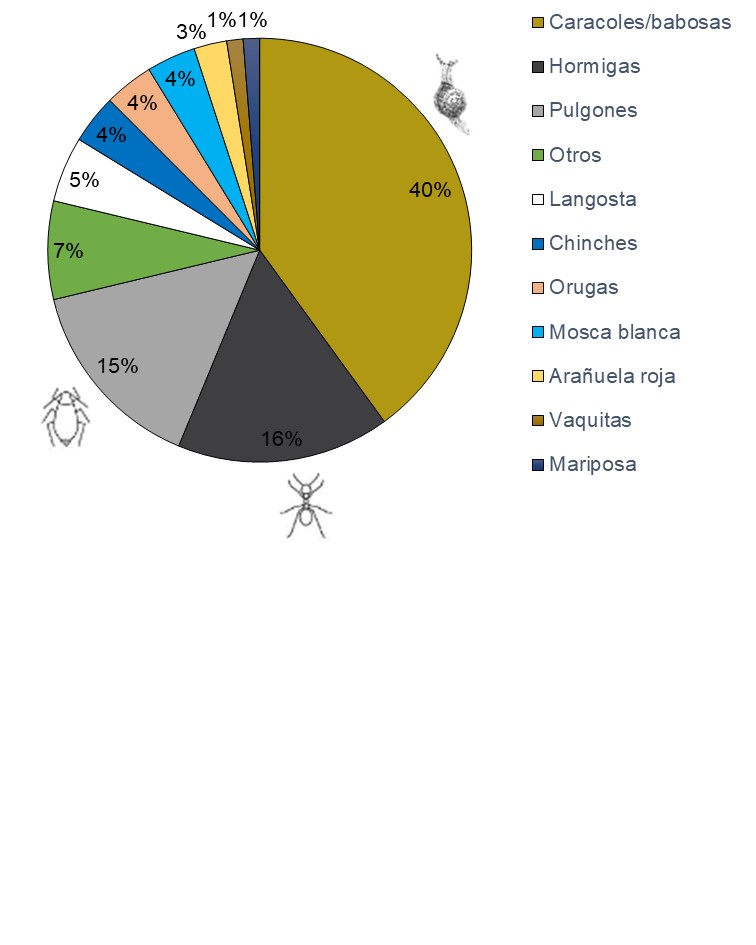 Grupo de invertebrados indicado como más perjudiciales para los cultivos de las huertas del partido de San Antonio de Areco (Argentina) según la percepción de las personas que trabajan en las huertas.