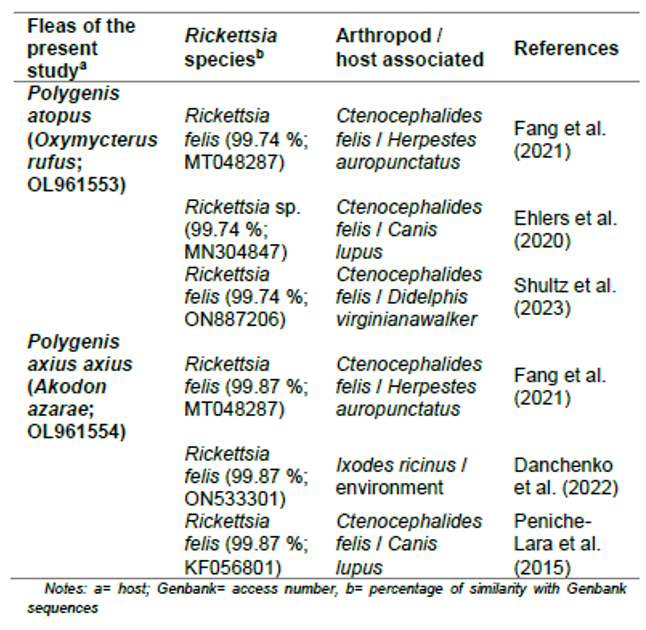 Similarity percentage for obtained sequences with BLAST analyses.