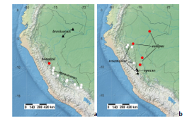 Distribution maps of genus Phymatestes in Peru.