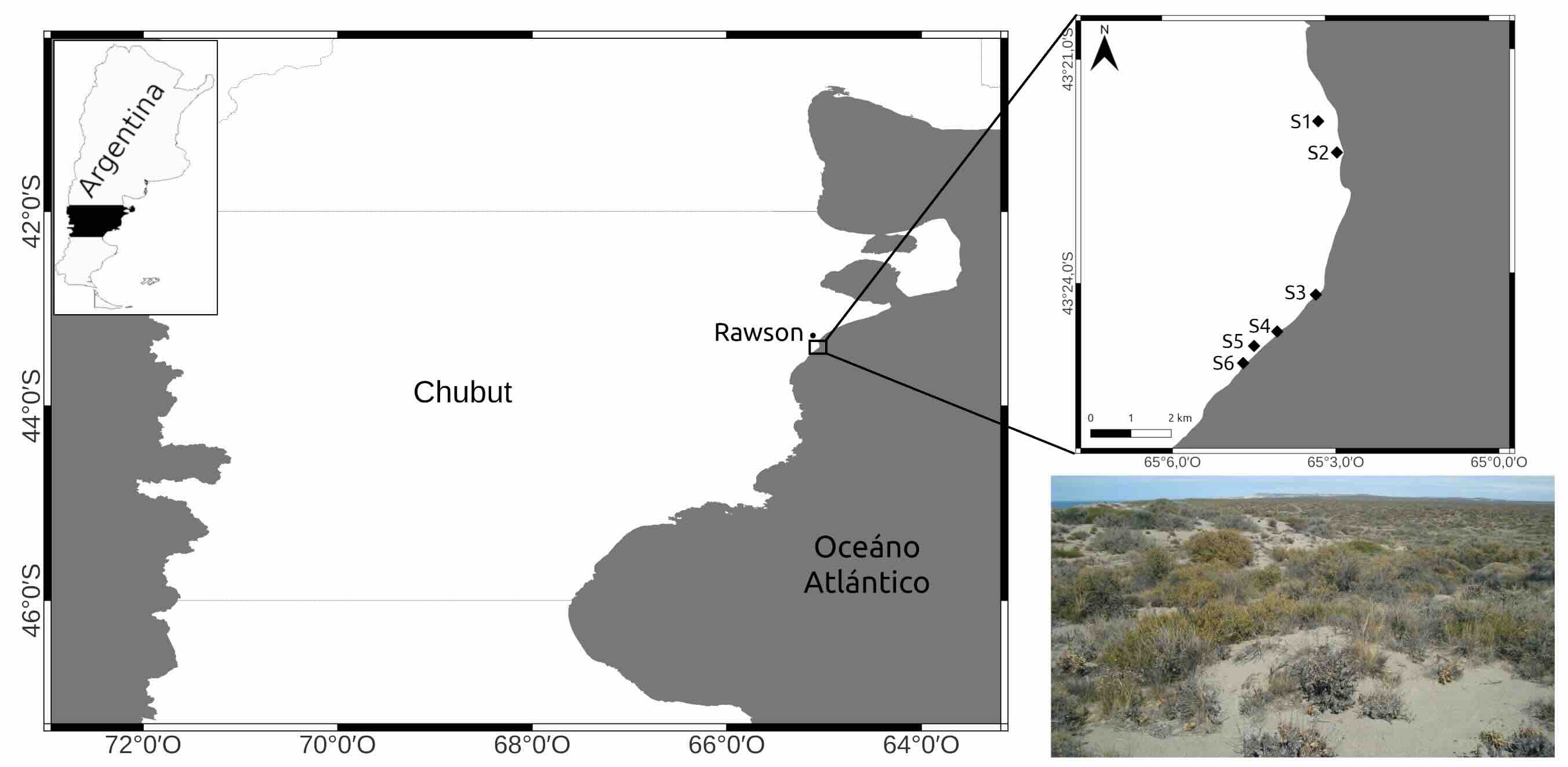 �rea de estudio, sitios de muestreo (simbolizados con la letra &ldquo;S&rdquo; y rombos negros) y foto del ambiente caracter�stico de la zona costera de Playa Magagna.