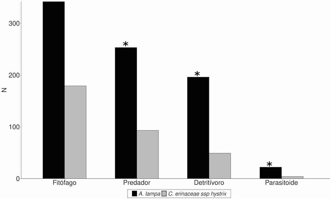 Abundancia de gremios tr�ficos por especie arbustiva (conteos totales).