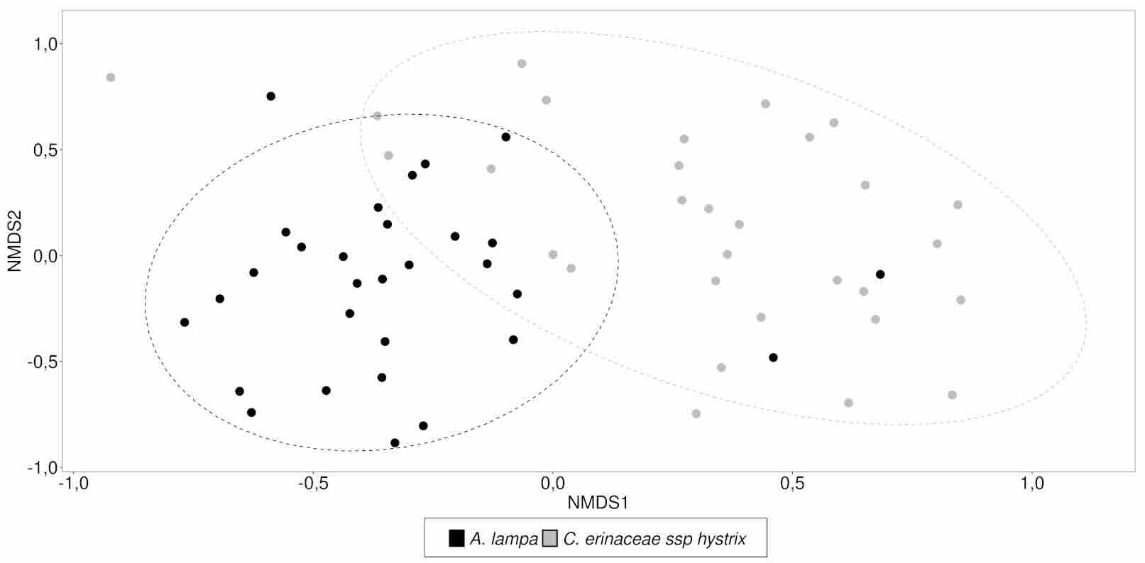 Ordenamiento NMDS de las muestras totales (n= 60) en funci�n de la abundancia de las familias de artr�podos para las dos especies arbustivas (stress= 0,24). 