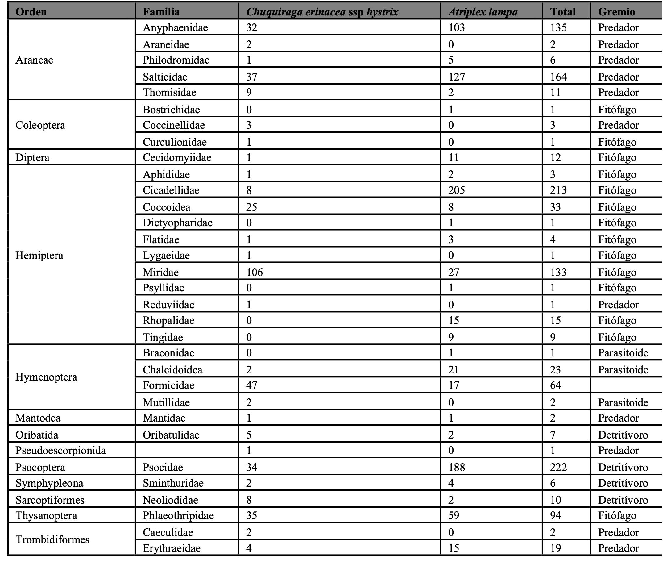 Abundancia de las familias de artr�podos por especie de arbusto.