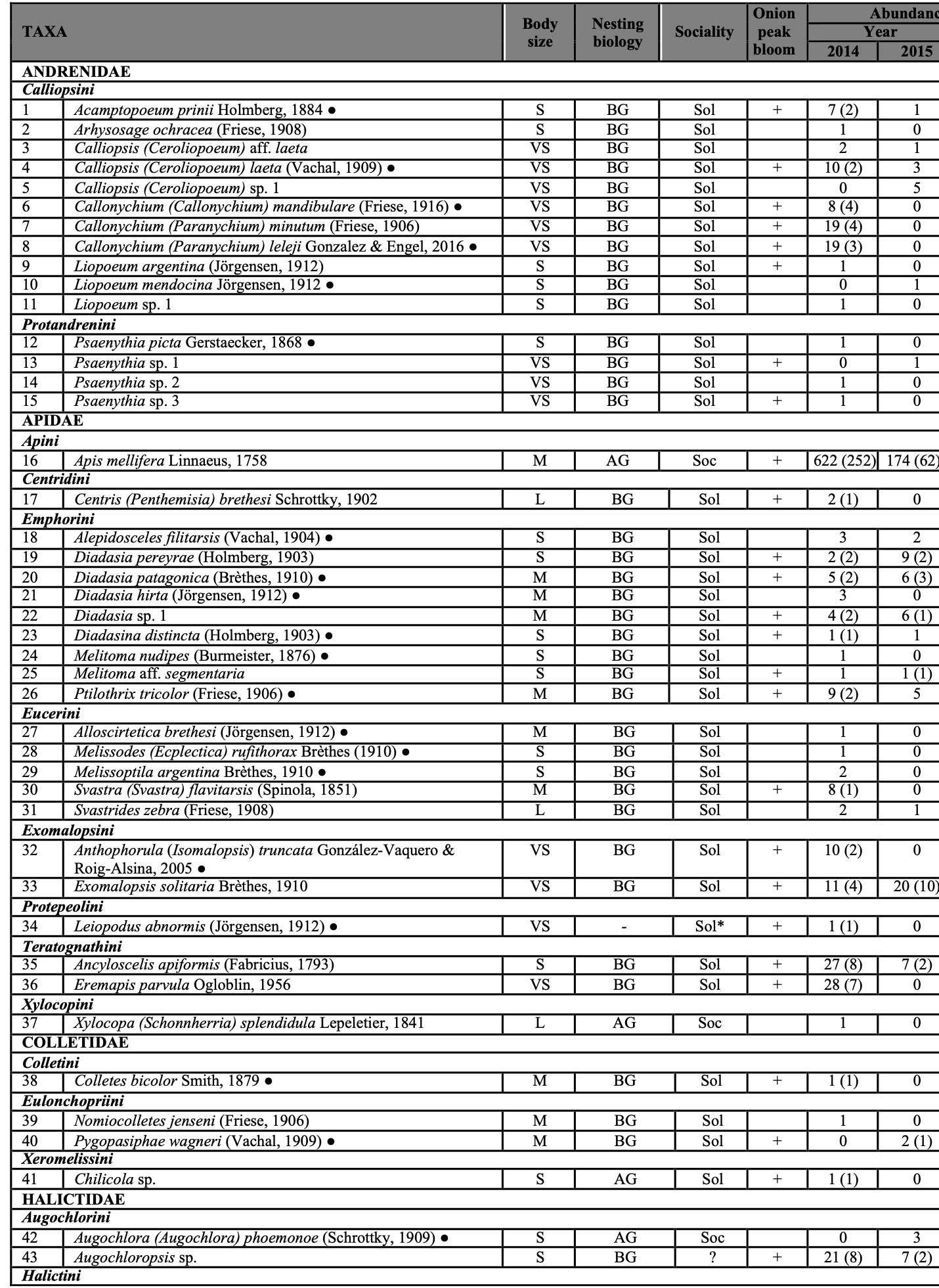 Species and total abundance of bees collected during onion bloom in San Juan province, Argentina.