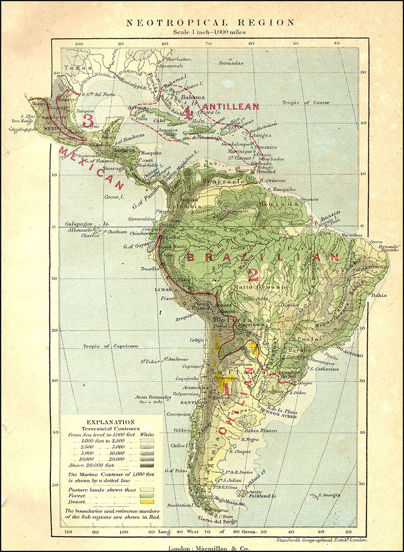  Zoogeographic regionalization of the Neotropical region and the subregions recognized by Wallace (1876).