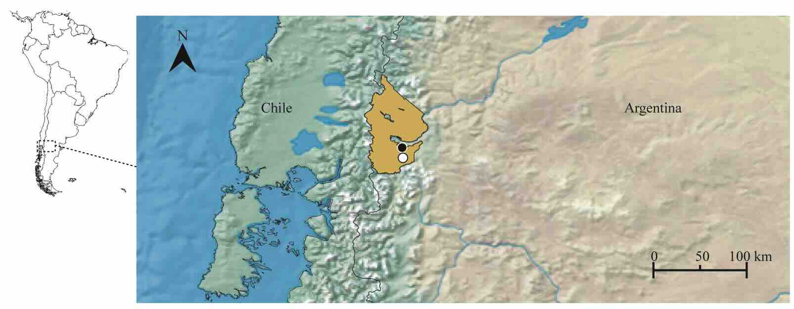  Distribution of Helina viola Malloch, 1934.