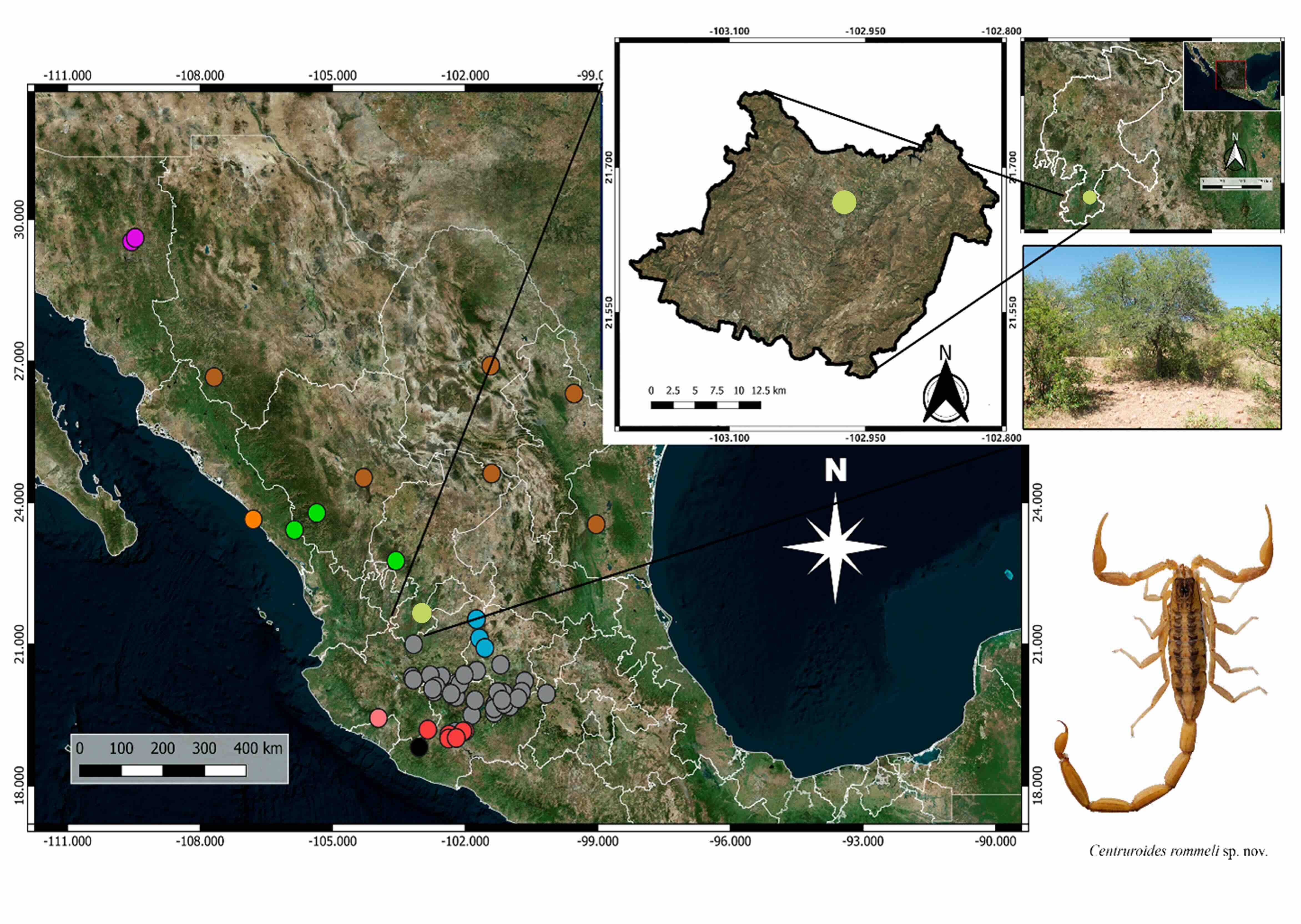 Mapa de la distribución de las especies del subgrupo infamatus
