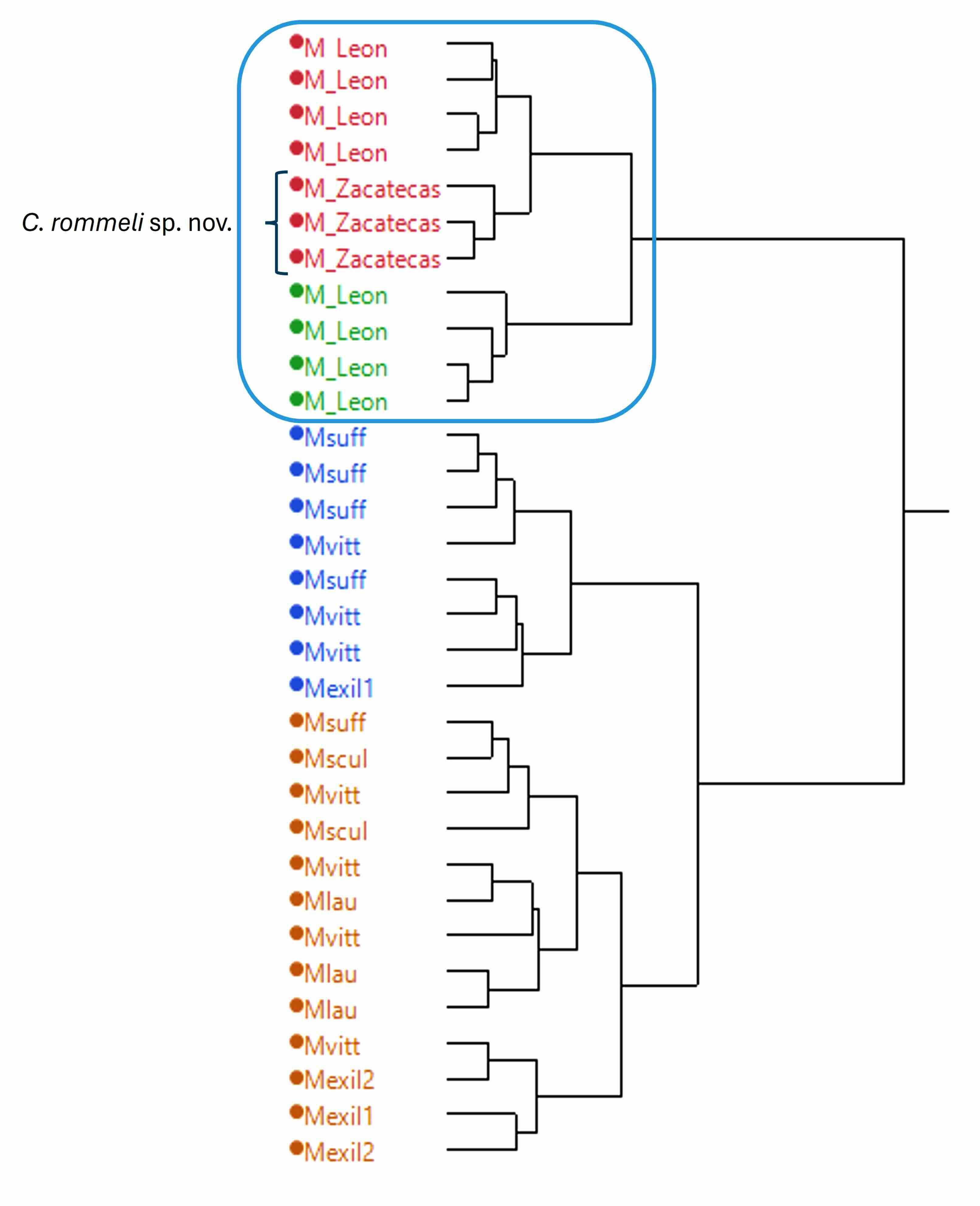 Dendrograma obtenido mediante el método de agrupación jerárquico de Ward con datos estandarizados