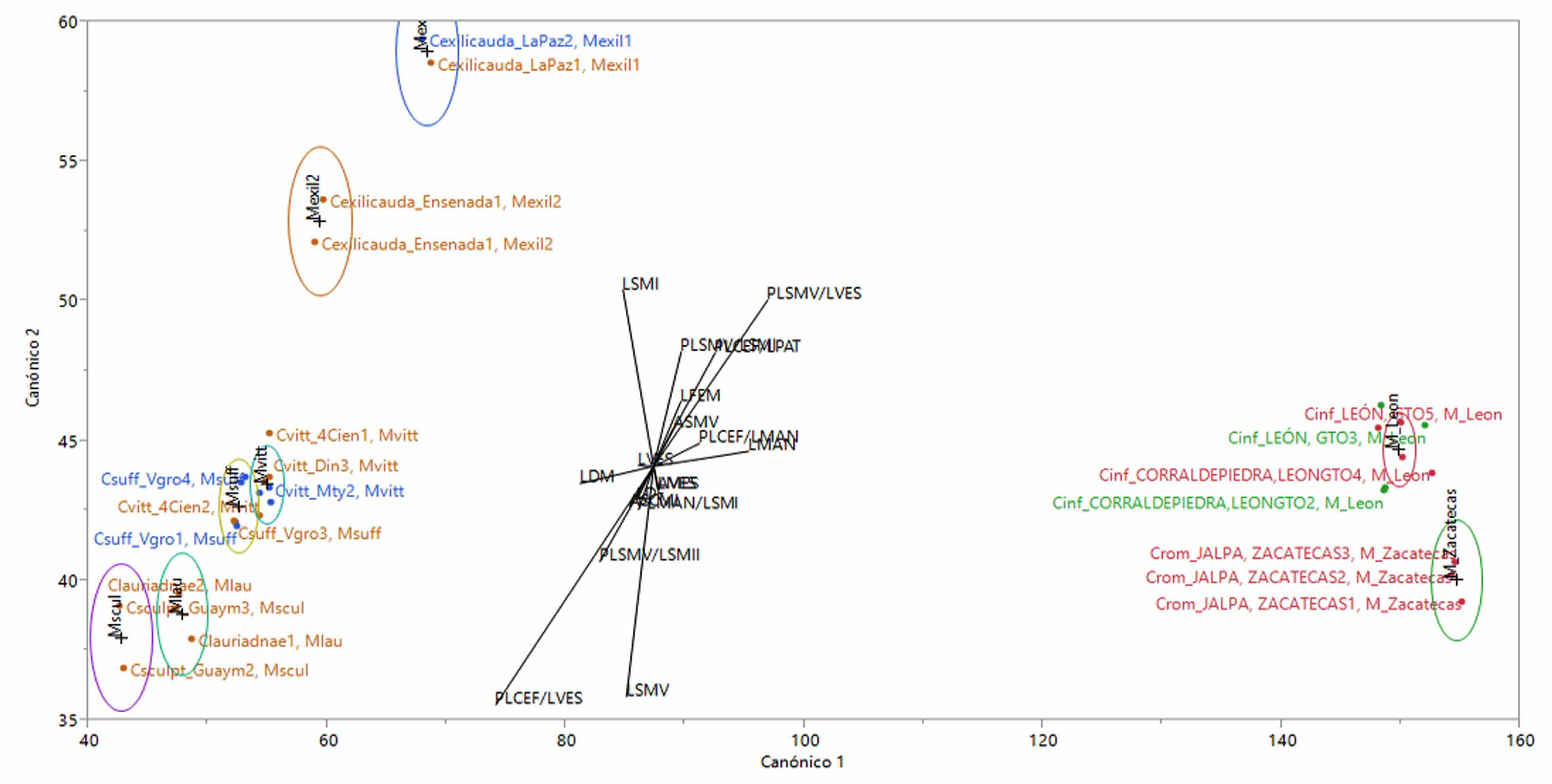 Gráfico obtenido con el Análisis Discriminante