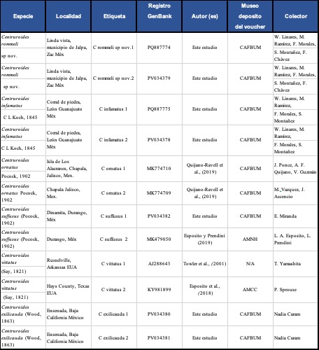 Relación de secuencias del fragmento del gen mitocondrial 16S utilizadas para el análisis de relaciones genéticas entre las especies del subgrupo “infamatus” más cercanas morfológica o geográficamente a Centruroides rommeli sp. nov.