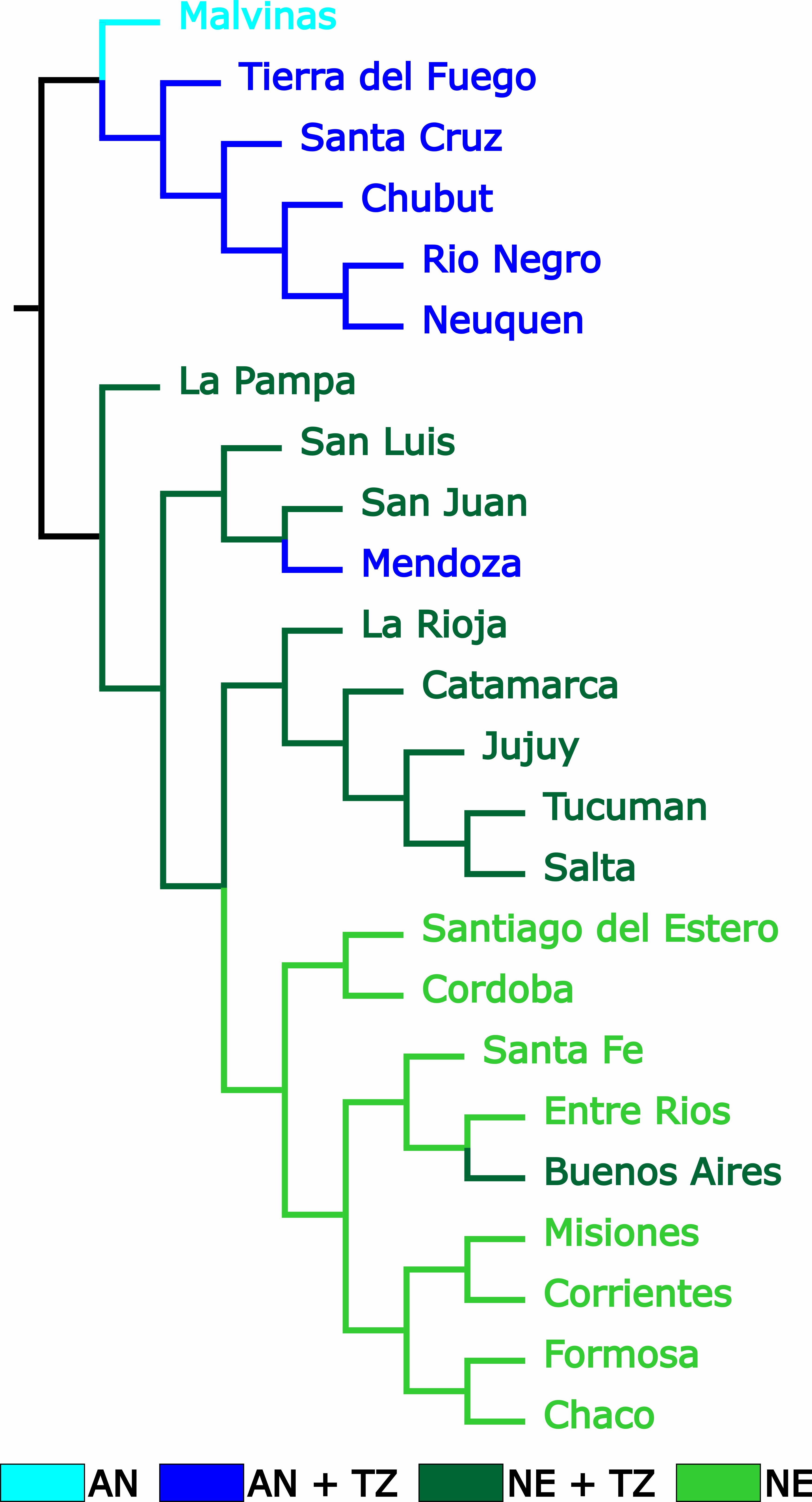 Cladogram showing the phylogenetic relationships among Argentinean provinces based on shared arthropod species. Most parsimonious tree resulting from implied weighting analysis using k = 3.046875.