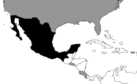 Distribuci&oacute;n areal del esquema que si
