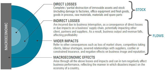 Disaster Losses on Business and Economy Source: UNISDR and PwC, copied from Global Assessment Report on Disaster Risk Reduction 2013.