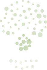 Representación del ToS y ecuación de búsqueda