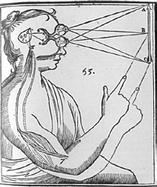 A diagram from Descartes&rsquo; Principles of Philosophy (Descartes, Miller & Miller, 1984)