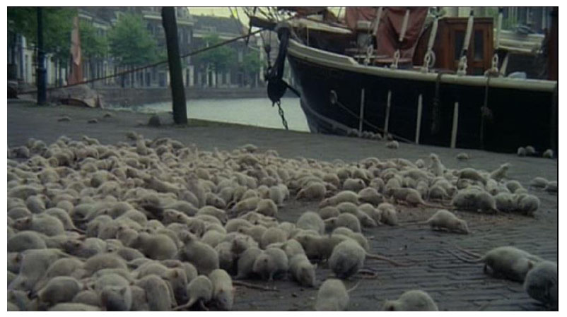 Os ratos de Nosferatu. Fonte: Herzog (1979).