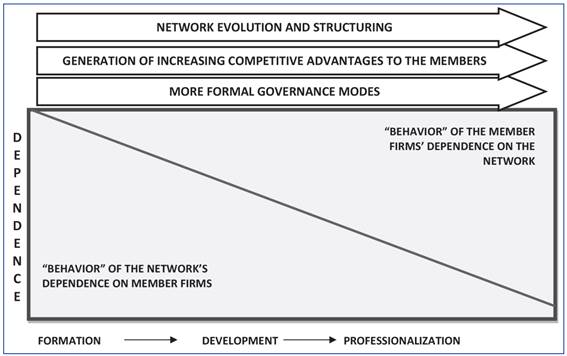 Network-firm interdependence