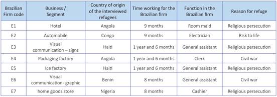 Business segment and nationality of the interviewed and observed refugees