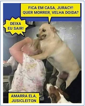 Meme about elderly in the pandemic