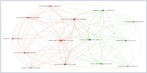 Map of co-citation per work