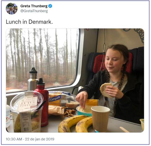 Tuíte de Greta no trem