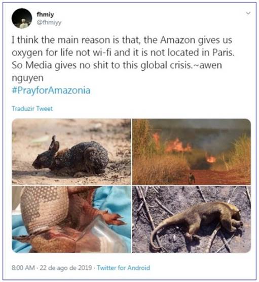 Tuíte sobre a Amazônia