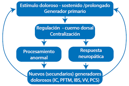Correlación entre los generadores dolorosos primarios y secundarios y la perpetuación del dolor. Adaptado de
(35)

.