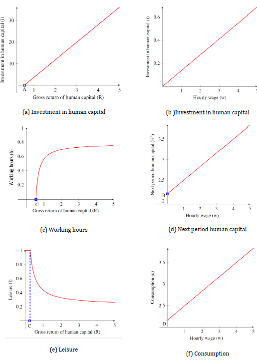 Model Predicted Values of Choice Variables at Different Gross Returns of Human Capital and Wages
