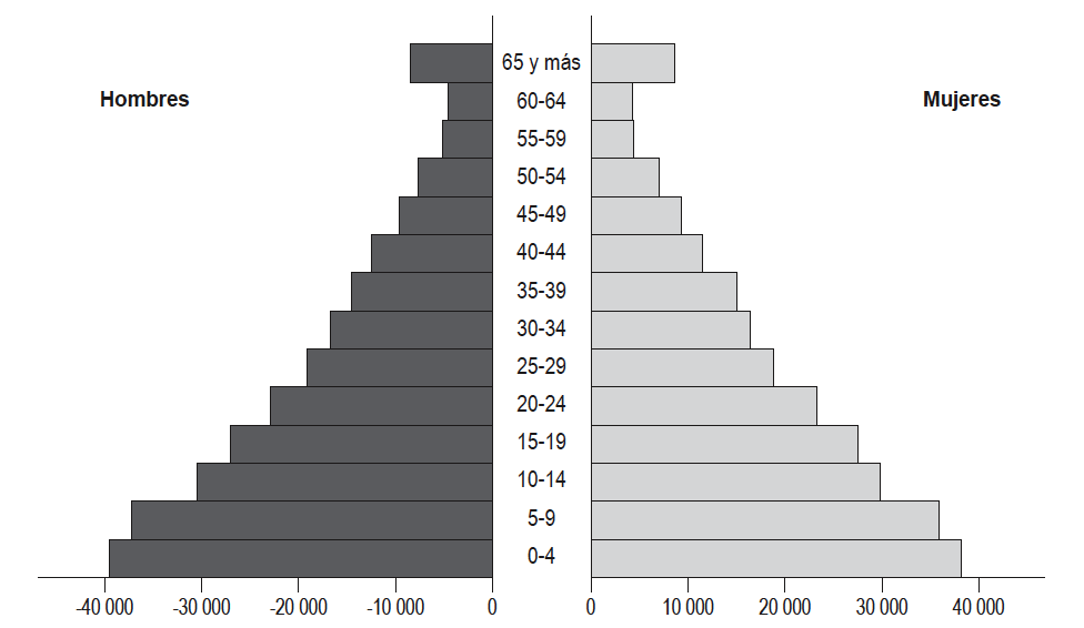 Pir&aacute;mide poblacional de pueblos ind&iacute;genas de Venezuela
