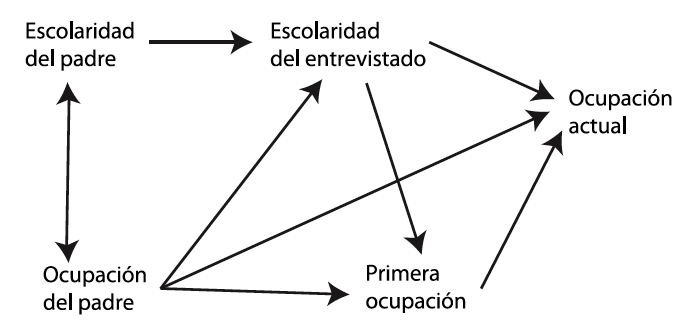 Modelo básico del proceso de estratificación social