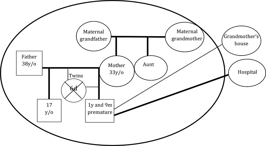 Genogram and eco-map of family 1