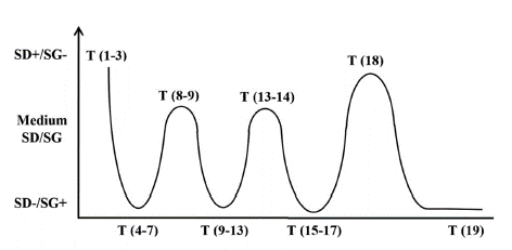 Ondulaciones sem&aacute;nticas en clases de historia. 