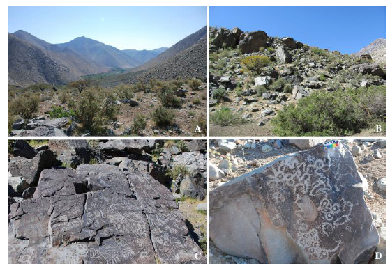 Arte rupestre Diaguita: (a y b) emplazamiento de los sitios, (c) bloque grabado cuesta Pabell&oacute;n, (d)bloque grabado Hacienda Chacay. Diaguita rock art: (a and b) location of sites, (c) Cuesta Pabell&oacute;n carved block, (d) Hacienda Chacay carved block.