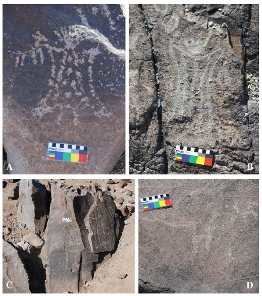 Arte rupestre de
&eacute;poca Diaguita Incaica: (a y b) Escutiformes Santamarianos,
sitios hacienda Chacay y cuesta Pabell&oacute;n, (c)
Cuadrado de lados curvos, (d) cam&eacute;lido esquem&aacute;tico r&iacute;gido, sitio hacienda Chacay. Inca Diaguita period rock
art: (a and b) Santamarian shield-like motifs (Hacienda Chacay and
Cuesta Pabell&oacute;n), (c) square with concave sides, (d) rigid schematic camelid (Hacienda Chacay).
