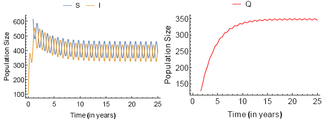 (B) The initial conditions are S0 = 1000, I0 = 100 and Q0 = 20.