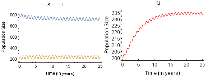 (B) The initial conditions are S0 = 1000, I0 = 200 and Q0 = 200.