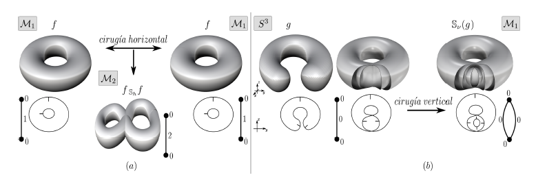 Ejemplo de cirug�a vertical en el G-grafo de f &isin; E(S3 , R3 ).