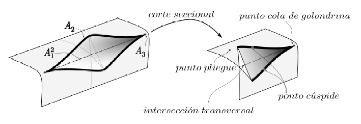 Ejemplos de puntos de curva cuspidal y cola de golondrina.