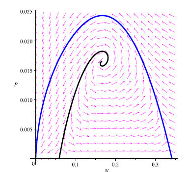 We made the phase portrait using MAPLE 13 to illustrate that prey and predators will become extinct when their population densities lie in the attraction region of Eo. However, if we take initial conditions on the stable manifold of E1 (black curve) it means the coexistence of the prey population. We choose the parameter values: a = 0.5; b = 0.6; � = 0.25; K = 1; r = 1; m = 0.62; s = 0.1. The critical points on the plane N P are points: Eo = (0,0), E1 = (0.02679491925,0), E2 = (0.3732050808, 0) and E* = (0.2, 0.03).