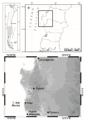&Aacute;reas geogr&aacute;ficas y sectores urbanos mencionados en el texto (tomado y modificado de Campbell y Pfeiffer, 2017, con autorizaci&oacute;n del autor).